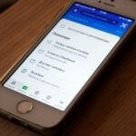 Best Graphic Design Software Apps Free and Paid Options